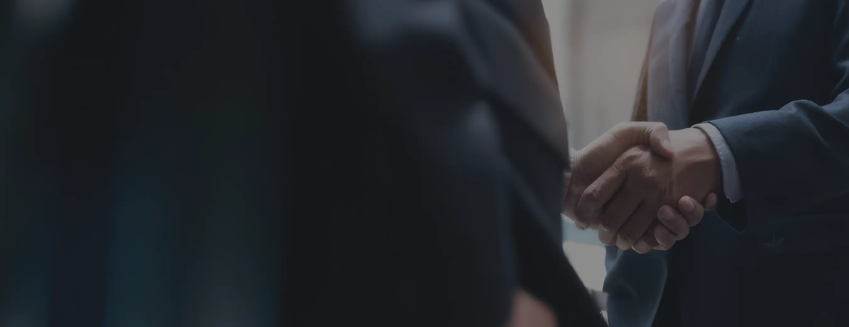 Banner 1